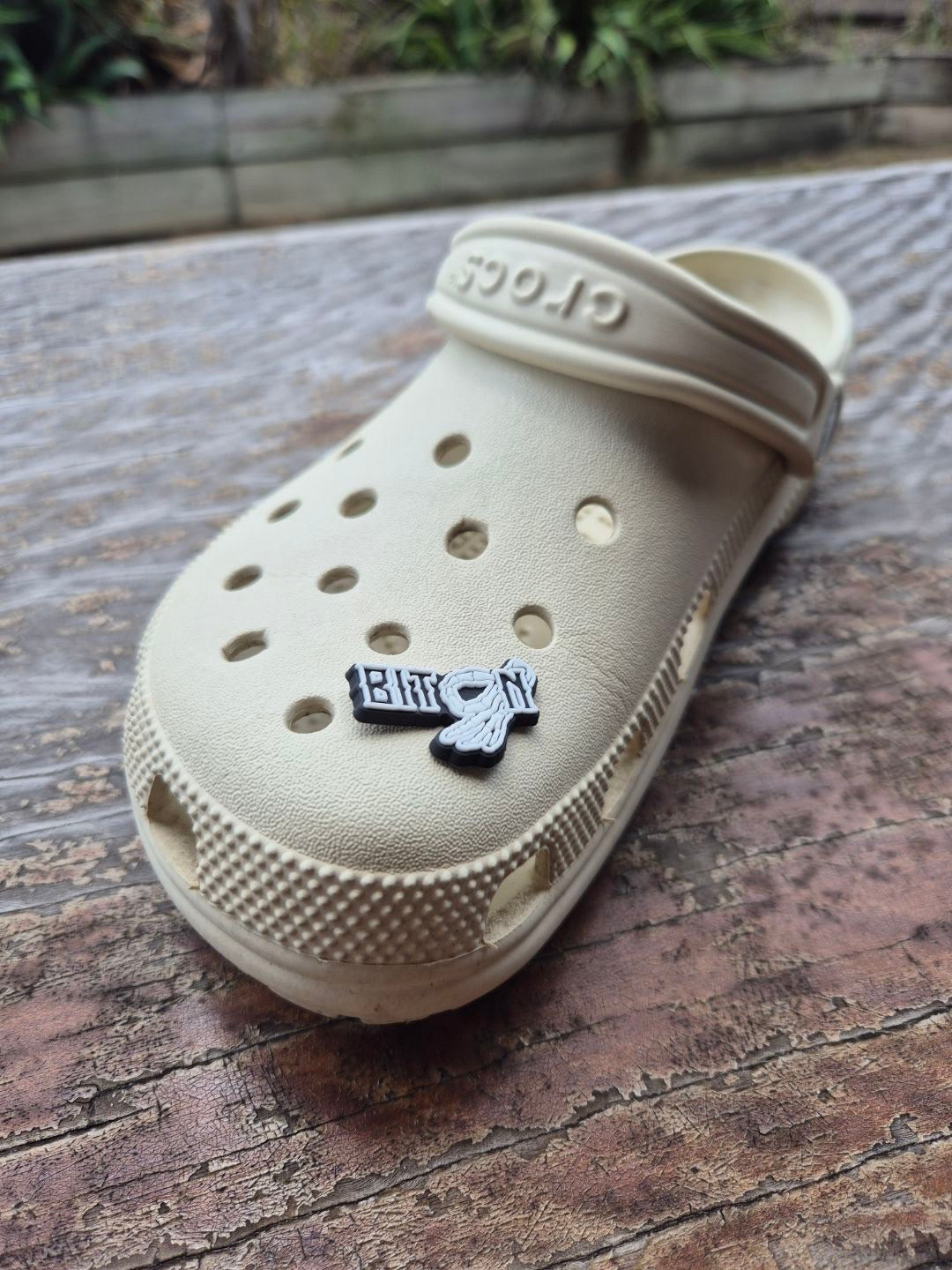 BIT ON Croc Charms